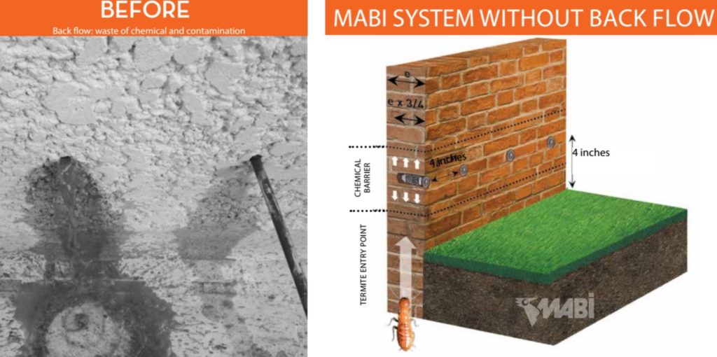 foundation mabi treatment usa termite walls cavity termites ground