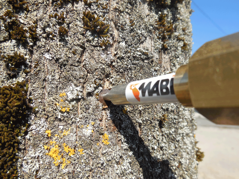 MABI tree injection