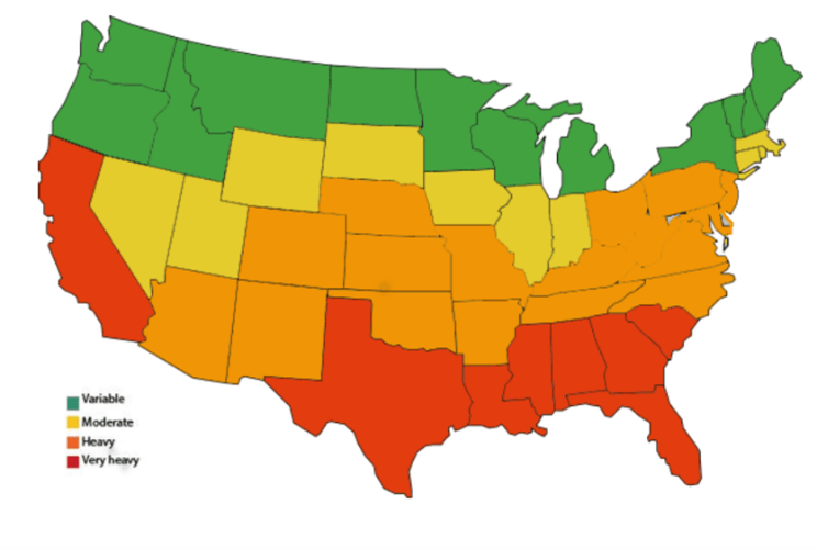 Concentration of termites in USA and homeowner termite risk