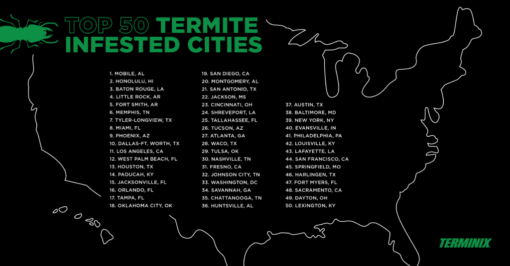 Terminix top 50 termite infested cities