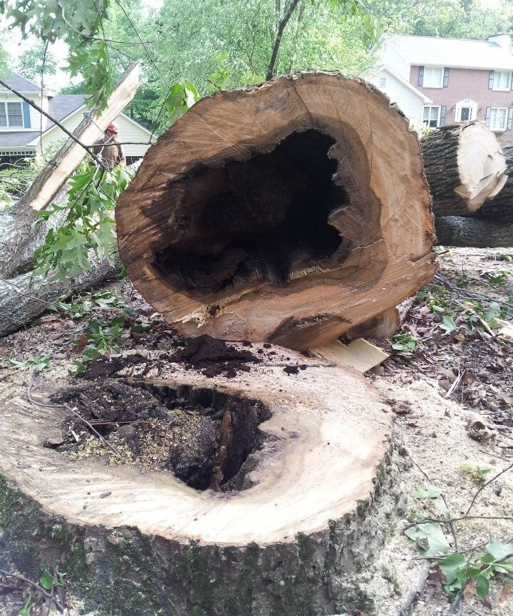 damaged-wood