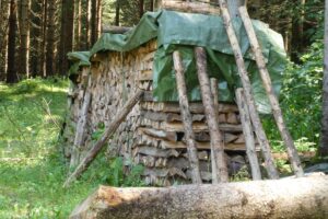 stacked firewood