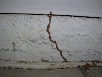 mud-tubes-termites subterranean termite mud tubes