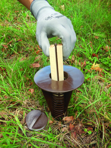 termite bait station1 termite bait stations