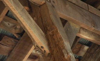 wood-damage-termite termite-damaged-wood