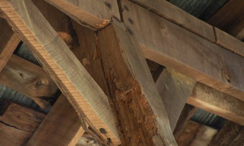 wood-damage-termite termite-infested-wood